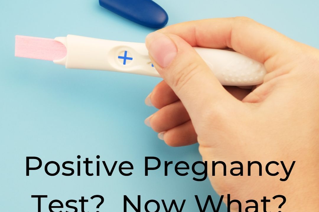 positive pregnancy test now what