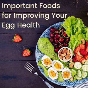 Important Foods for Improving Your Egg Health