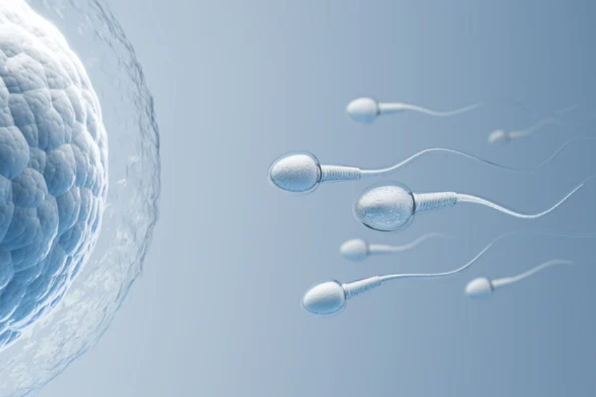 fertility treatment definitions blog featured image