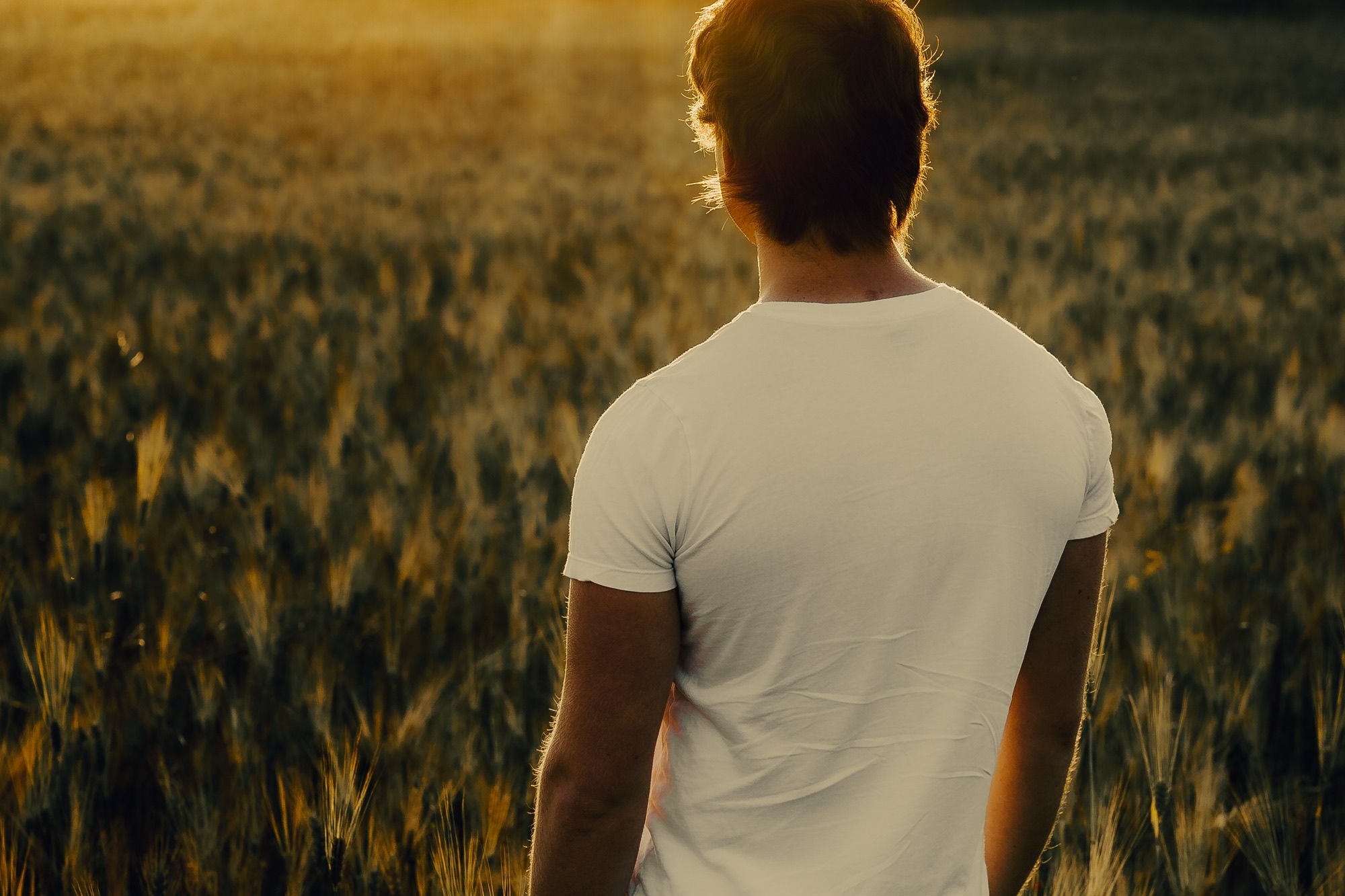 Things affecting Male Fertility