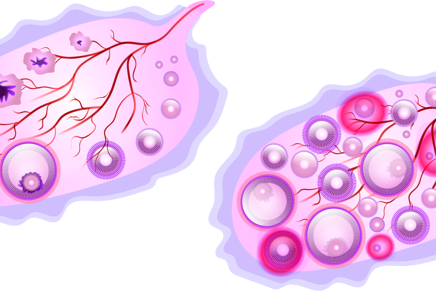 Implantation Bleeding