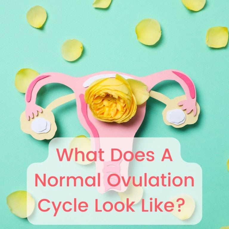 What does a normal ovulation cycle look like? Feature image.