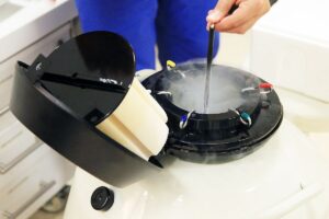 fresh versa frozen embryo transfer