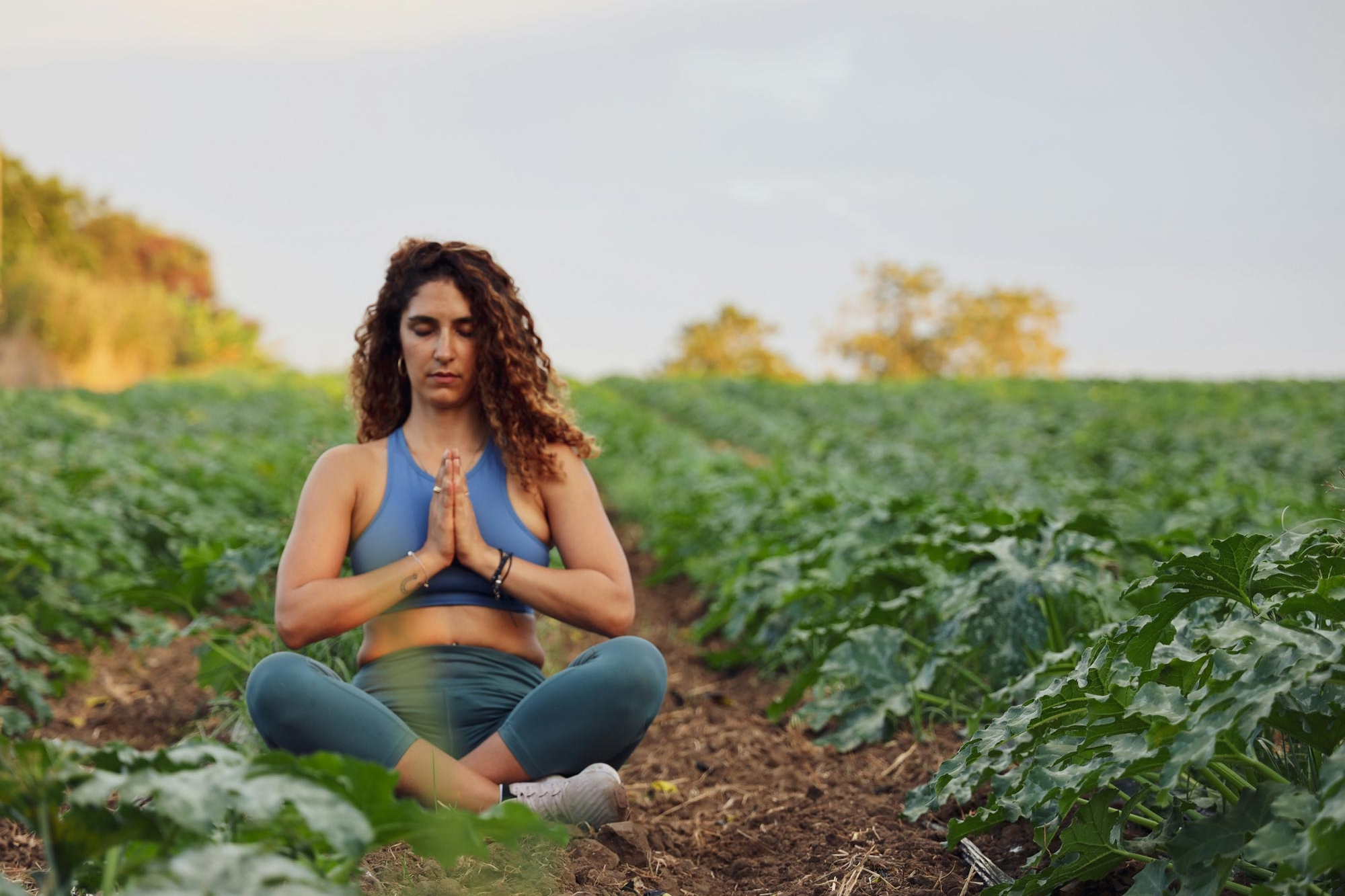 meditation apps
