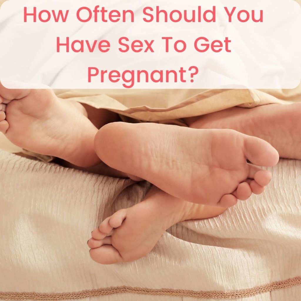 How often should you have sex to get pregnant?