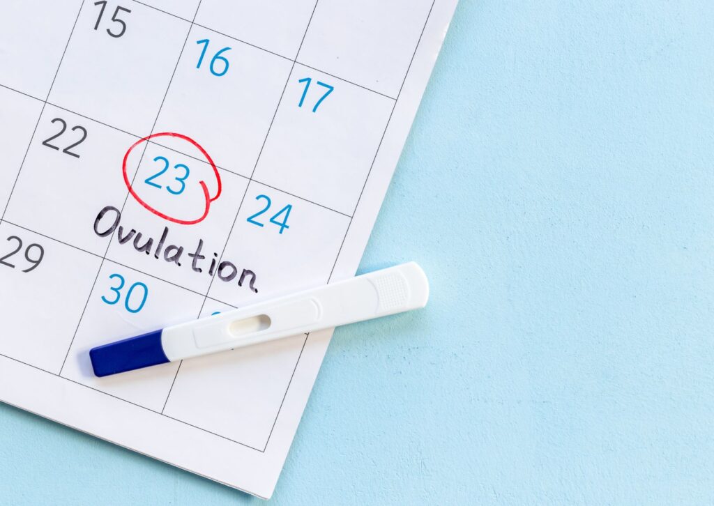 when to take an ovulation test