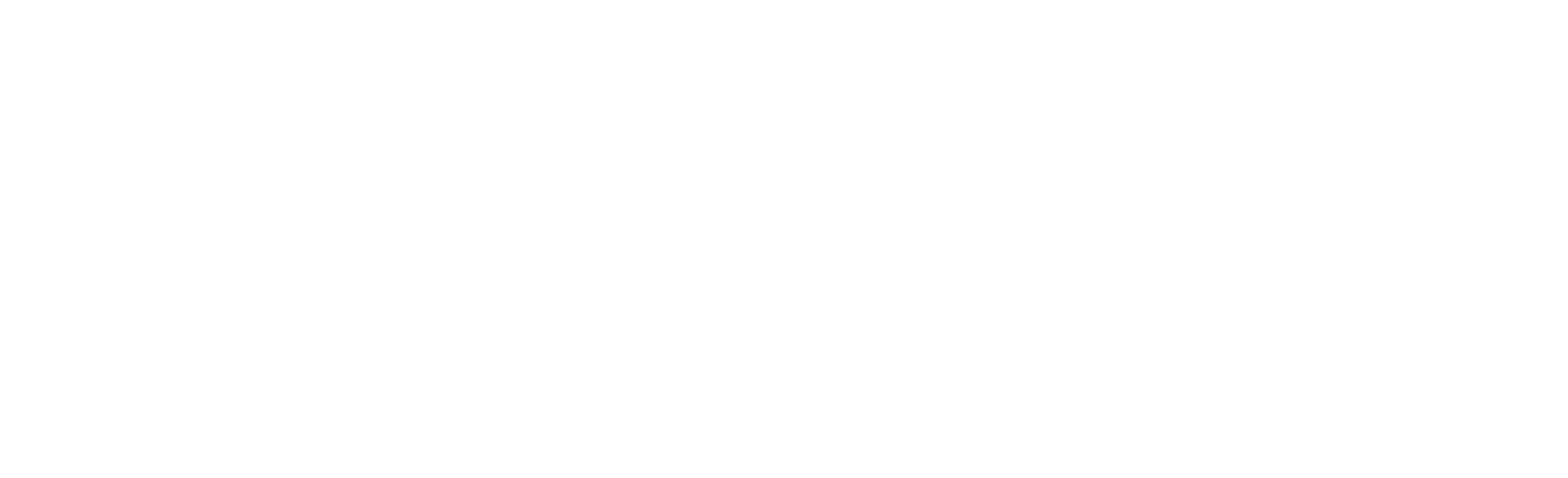 Hoopsy Logo White