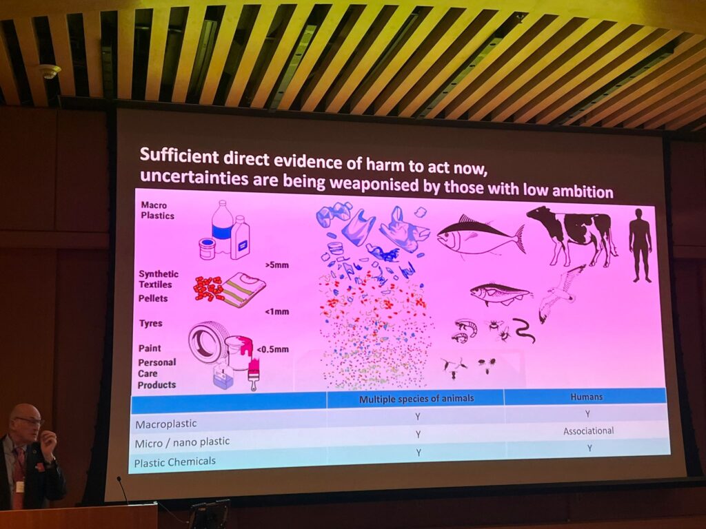 blog post can we really stop plastic pollution