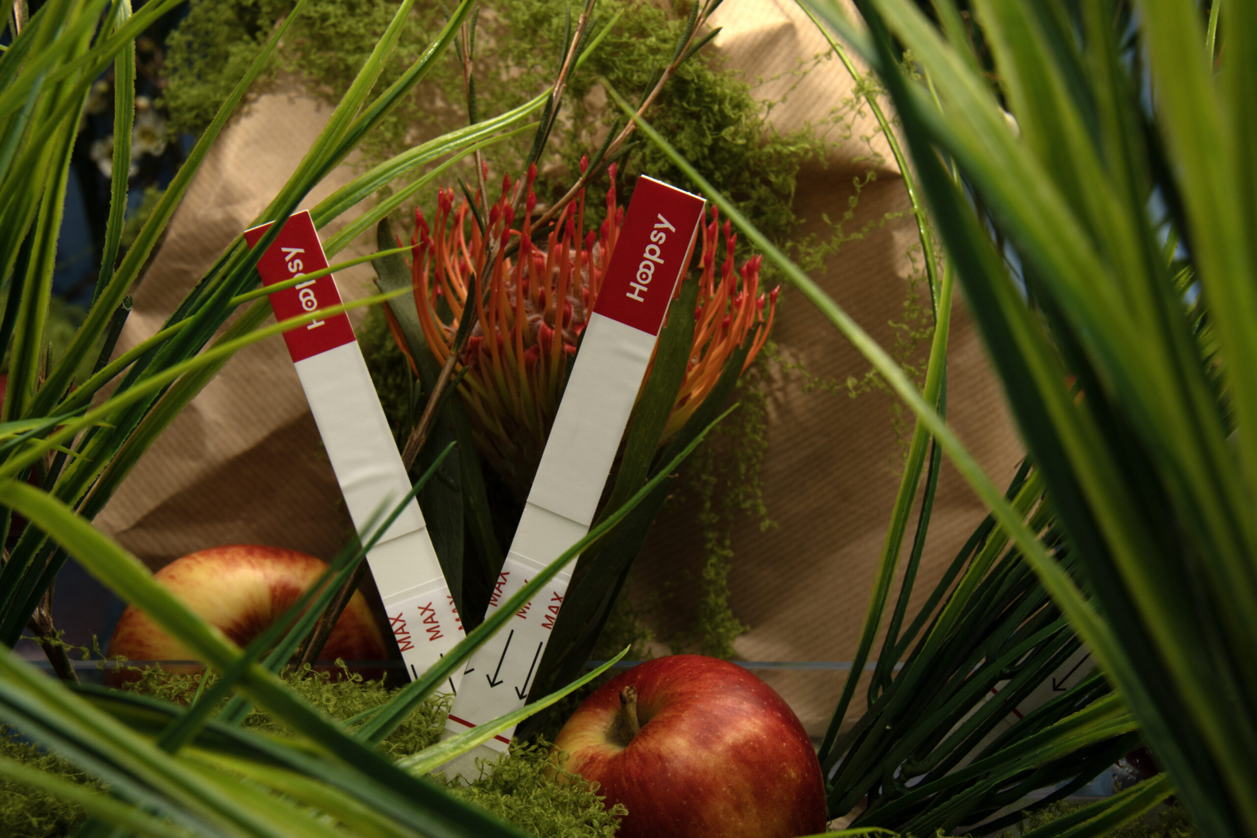 hoopsy 2025 year in review blog featured image