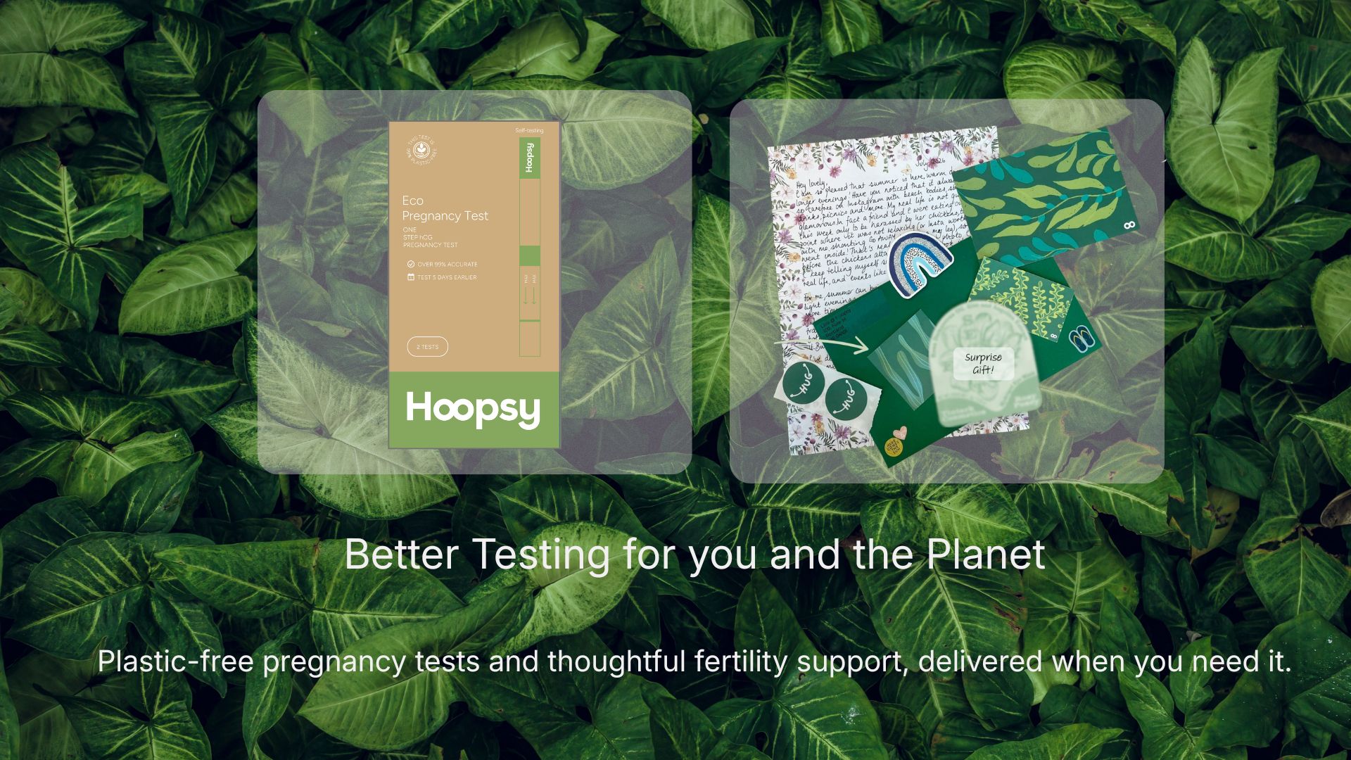 Hoopsy shop page image