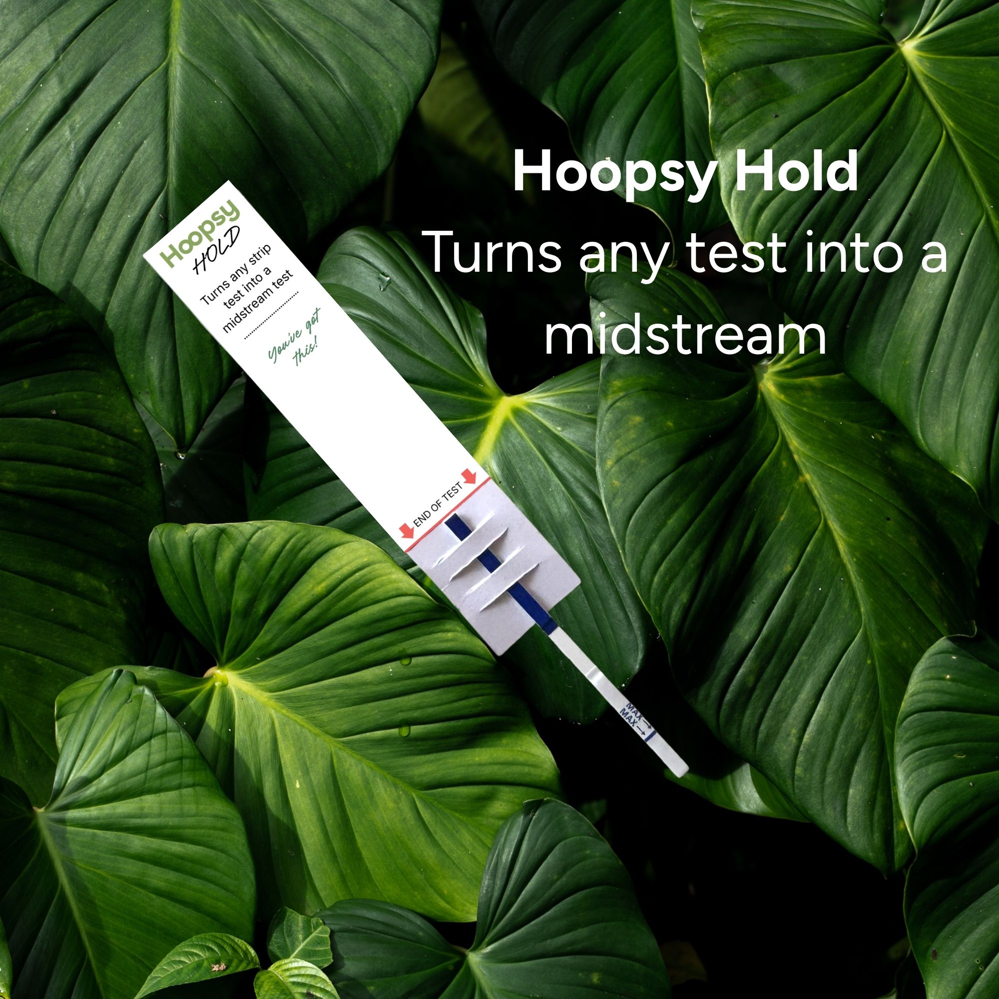 Hoopsy hold test handle
