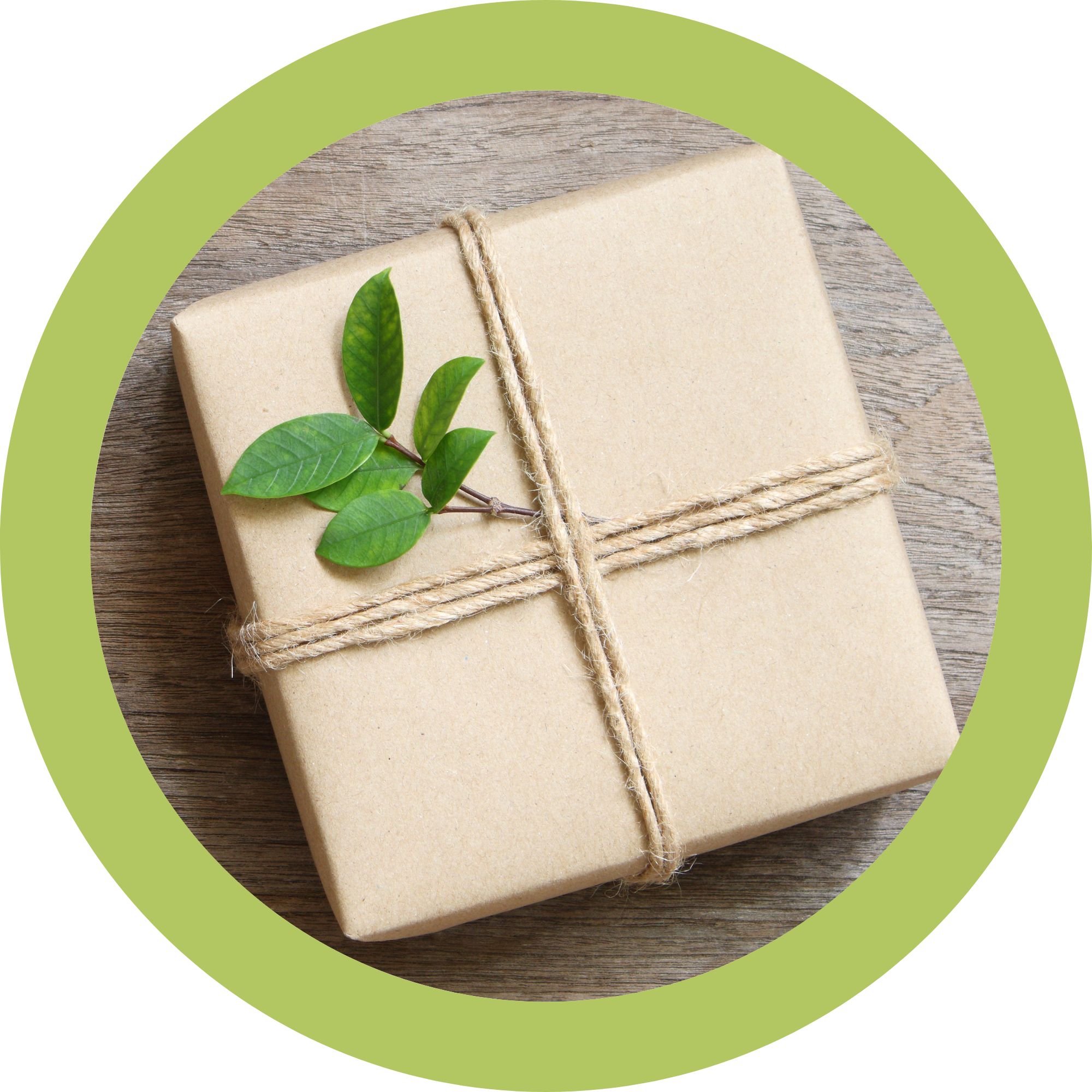 Fertility snail mail monthly gift