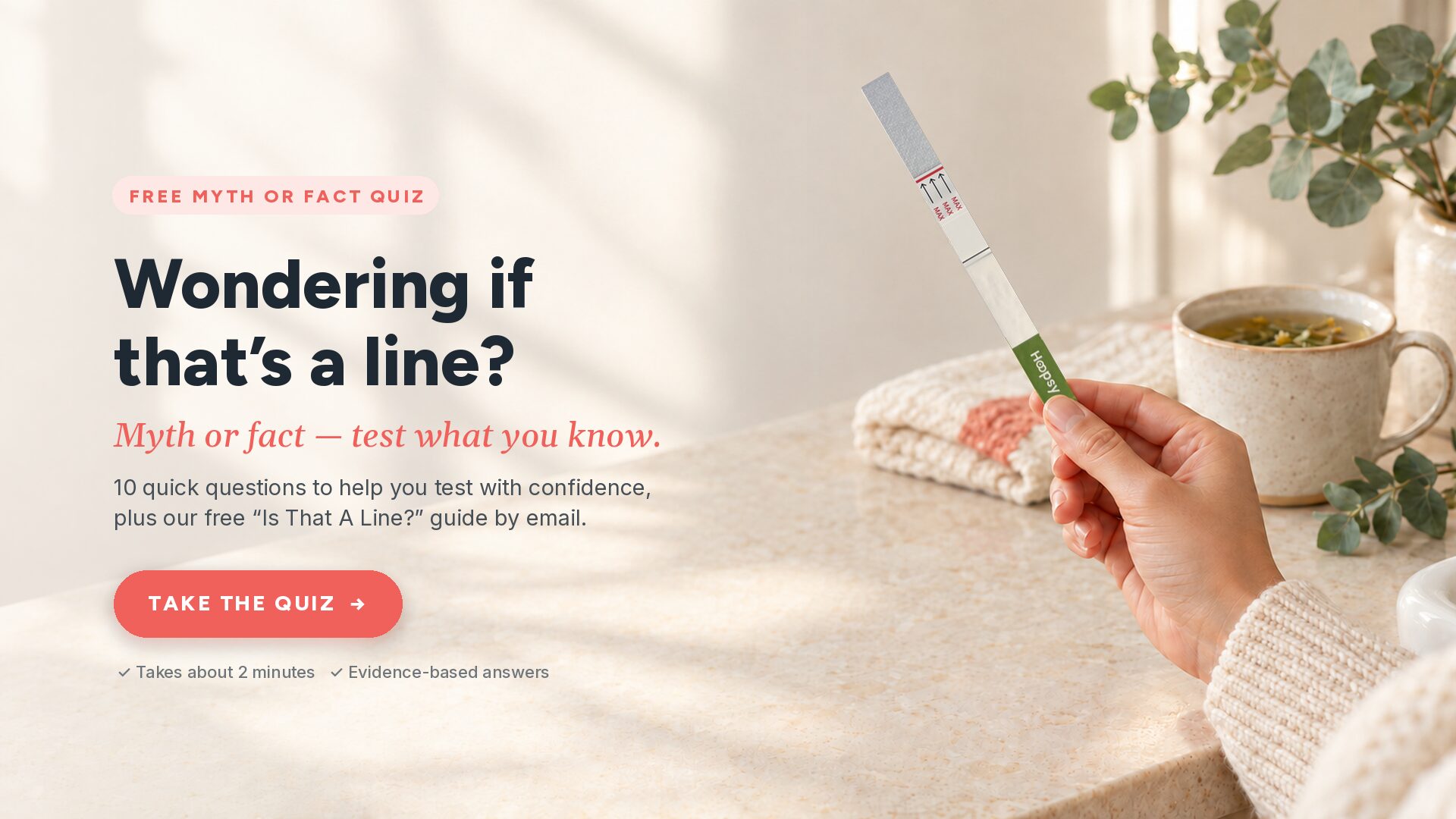 pregnancy test quiz